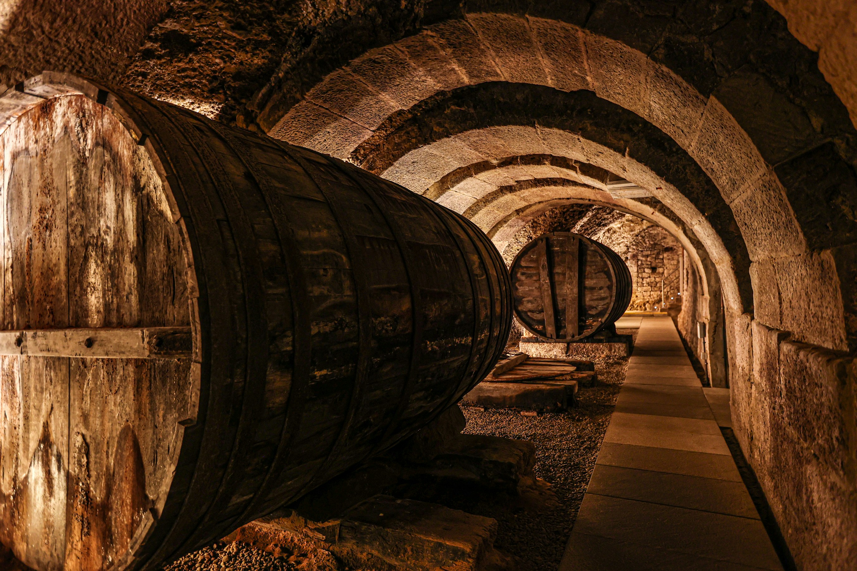 Barrel cellar of a Bordeaux château